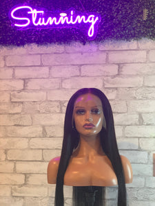 Styled Silky Straight Lace Front Wig 24”